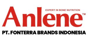 jual kembang api profesional jawa timur