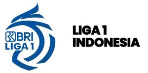 jual kembang api profesional jawa timur