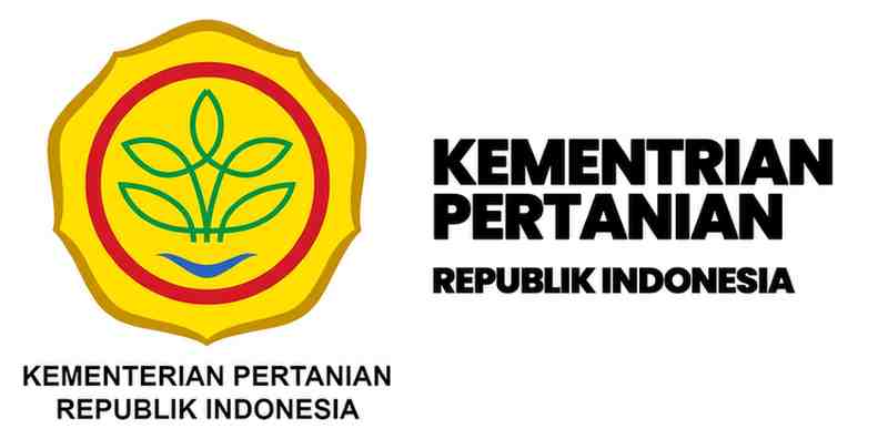 jual kembang api profesional jawa timur
