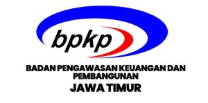 jual kembang api profesional jawa timur